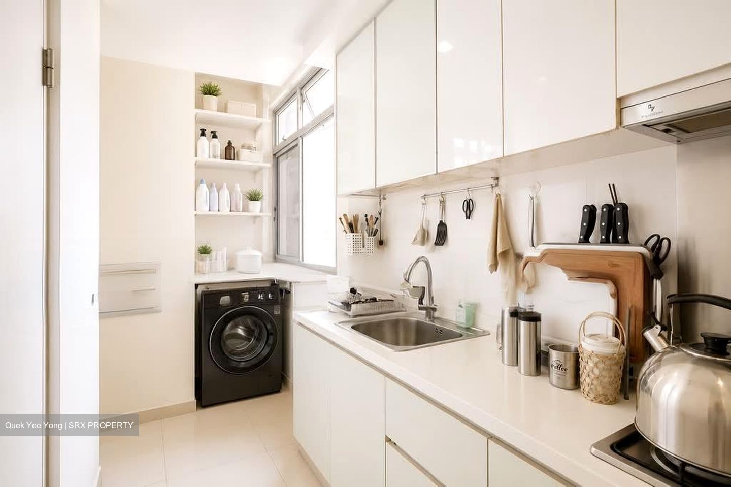 Oasis @ Elias (D18), Condominium #580642641